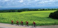 Off road cycling holidays: Blueberry route in Quebec, Canada